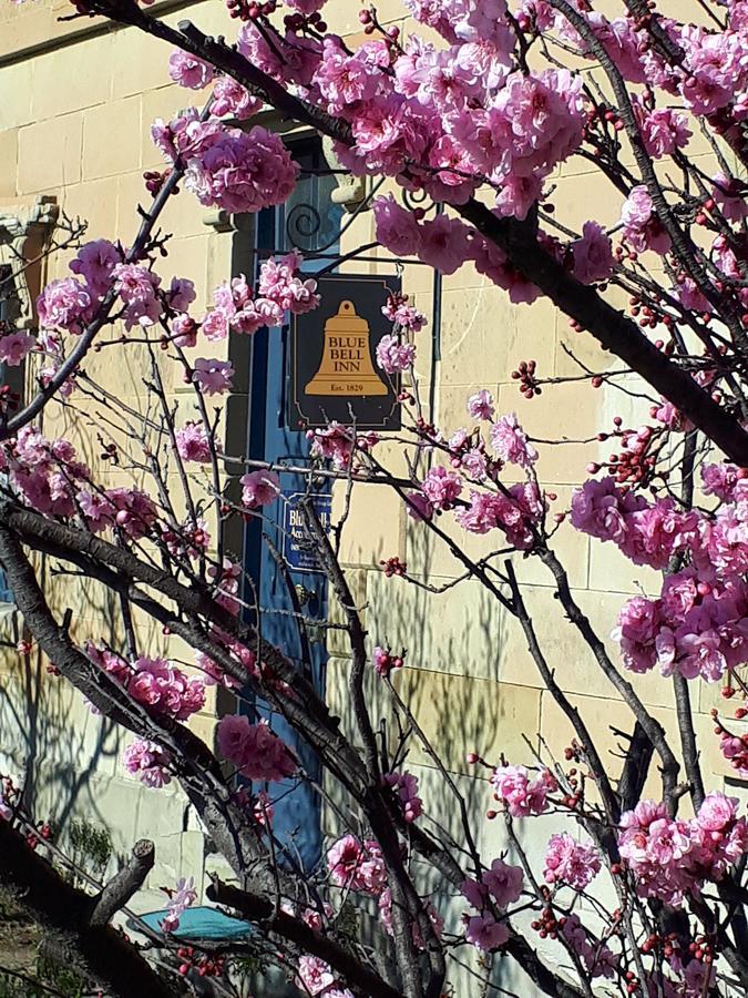 Sorell Blue Bell Inn מראה חיצוני תמונה
